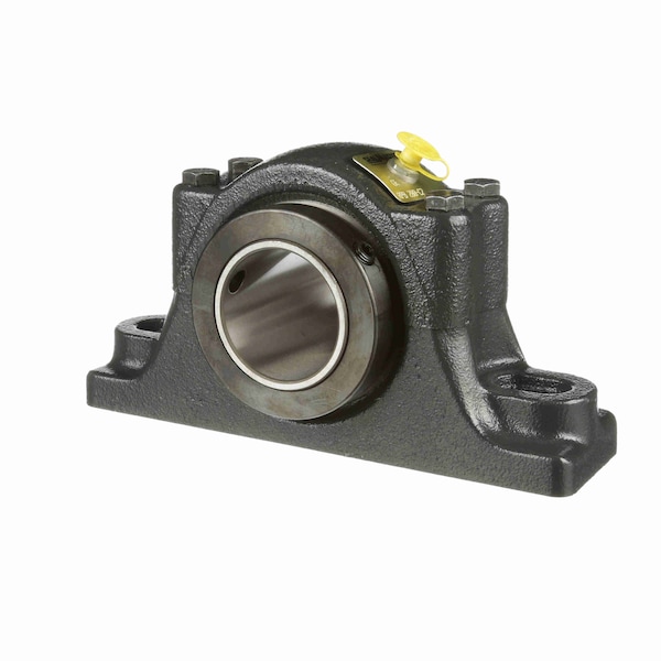 Mounted Cast Iron Two Bolt Pillow Block Tapered Roller, RPB 200-C2